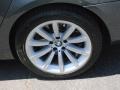 2008 Titanium Grey Metallic BMW 7 Series 750Li Sedan  photo #11