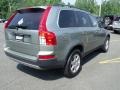 Willow Green Metallic - XC90 3.2 AWD Photo No. 3
