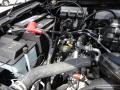Black Clearcoat - Mark LT SuperCrew 4x4 Photo No. 23
