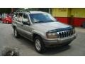 Champagne Pearlcoat - Grand Cherokee Laredo Photo No. 1