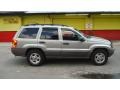 Champagne Pearlcoat - Grand Cherokee Laredo Photo No. 2