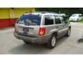 Champagne Pearlcoat - Grand Cherokee Laredo Photo No. 3