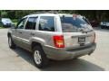 Champagne Pearlcoat - Grand Cherokee Laredo Photo No. 5