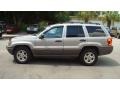 Champagne Pearlcoat - Grand Cherokee Laredo Photo No. 6