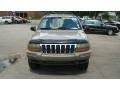 Champagne Pearlcoat - Grand Cherokee Laredo Photo No. 8