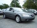 Willow Gray - Sonata GLS Photo No. 3