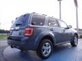 2010 Steel Blue Metallic Ford Escape Limited V6  photo #5