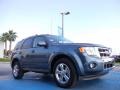 2010 Steel Blue Metallic Ford Escape Limited V6  photo #7