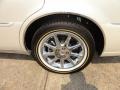 White Diamond Tricoat - DTS Luxury Photo No. 11