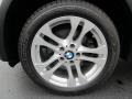 Platinum Bronze Metallic - X3 3.0si Photo No. 9