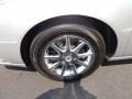 Radiant Silver Metallic - DTS Luxury Photo No. 31