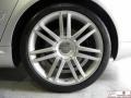 Light Silver Metallic - S8 5.2 quattro Photo No. 32