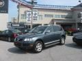 Offroad Grey Metallic - Touareg V6 Photo No. 53
