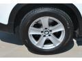 Alpine White - X5 4.8i Photo No. 9