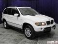Alpine White - X5 3.0i Photo No. 3
