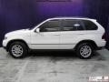 Alpine White - X5 3.0i Photo No. 5