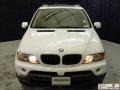 Alpine White - X5 3.0i Photo No. 19