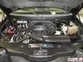 2004 Aspen Green Metallic Ford F150 XLT SuperCab  photo #14