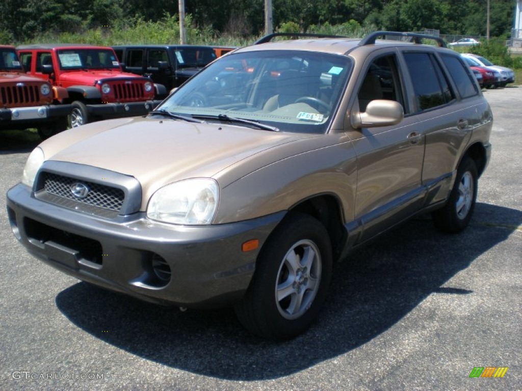 Sandstone 2004 Hyundai Santa Fe Standard Santa Fe Model Exterior Photo #52481648
