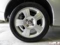 CD Silver Metallic - Focus ZX3 SES Hatchback Photo No. 27