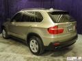 2007 Platinum Bronze Metallic BMW X5 4.8i  photo #22