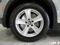 2007 Platinum Bronze Metallic BMW X5 4.8i  photo #24