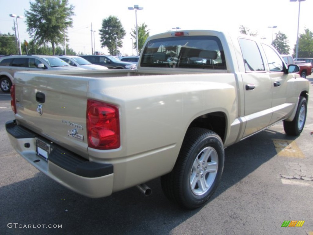 2011 Dakota Big Horn Crew Cab - White Gold Metallic / Dark Slate Gray/Medium Slate Gray photo #3