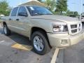 White Gold Metallic - Dakota Big Horn Crew Cab Photo No. 4