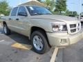 2011 White Gold Metallic Dodge Dakota Big Horn Crew Cab  photo #4