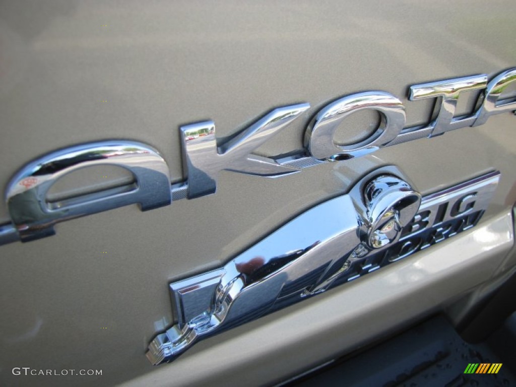 2011 Dakota Big Horn Crew Cab - White Gold Metallic / Dark Slate Gray/Medium Slate Gray photo #7