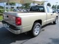 2011 White Gold Metallic Dodge Dakota Big Horn Extended Cab  photo #3