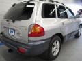 Pewter - Santa Fe GLS AWD Photo No. 4