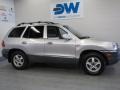 Pewter - Santa Fe GLS AWD Photo No. 5