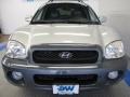 Pewter - Santa Fe GLS AWD Photo No. 7