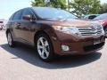 2009 Sunset Bronze Mica Toyota Venza V6 AWD  photo #1