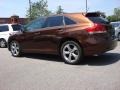 2009 Sunset Bronze Mica Toyota Venza V6 AWD  photo #5