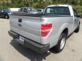 2010 Sterling Grey Metallic Ford F150 XL Regular Cab  photo #9