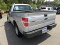 2010 Sterling Grey Metallic Ford F150 XL Regular Cab  photo #12