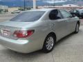 Millennium Silver Metallic - ES 300 Photo No. 3