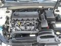 Camel Pearl - Sonata GLS Photo No. 4