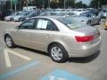 Camel Pearl - Sonata GLS Photo No. 6