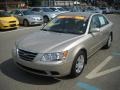 Camel Pearl - Sonata GLS Photo No. 8