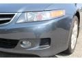 Carbon Gray Pearl - TSX Sedan Photo No. 28