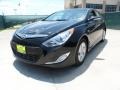 2011 Black Onyx Pearl Hyundai Sonata Hybrid  photo #7