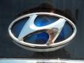 2011 Black Onyx Pearl Hyundai Sonata Hybrid  photo #18