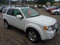 2009 White Suede Ford Escape Limited V6 4WD  photo #6