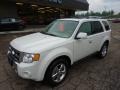 2009 White Suede Ford Escape Limited V6 4WD  photo #8