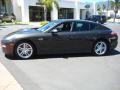 Carbon Grey Metallic - Panamera V6 Photo No. 2