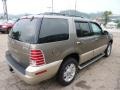Mineral Gray Metallic - Mountaineer V8 AWD Photo No. 4