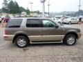 Mineral Gray Metallic - Mountaineer V8 AWD Photo No. 5